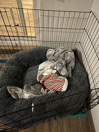 Reseña con foto de un cliente sobre Cama Antiestrés Para Perros