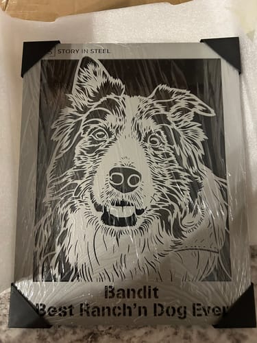 Customer photo review of Custom Pet Metal Portrait