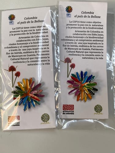 Customer photo review of Pin de la COP 16