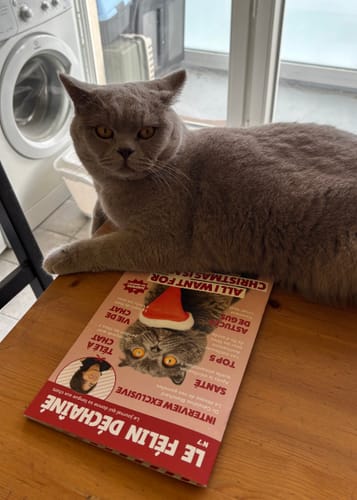 Avis photo d'un client sur Croquettes Chat Stérilisé Sans Céréales - Poulet