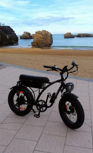 Customer photo review of Bezior XF001 PLUS Electric Retro City Bike