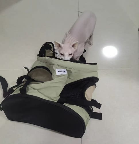 Customer photo review of Comfortable Labor-saving Front Pet Carrier
