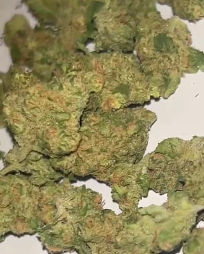 Customer photo review of Blue Dream - 14 Grams Littles - Sativa