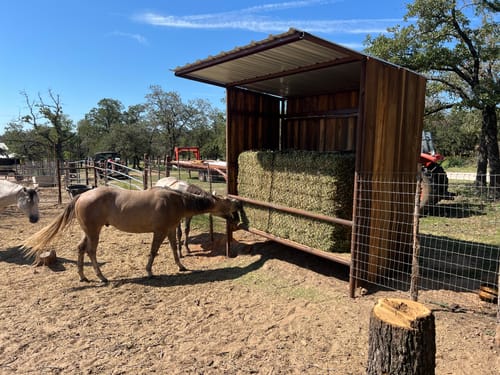 Customer photo review of Hay Chix® 3-Strand Bale Net (West Coast Net)
