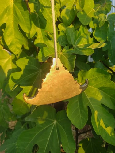 Customer photo review of CAMPANA BURMA PEQUEÑA