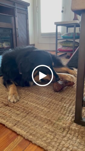 Customer video review of Mika and Sammy's Gift Card