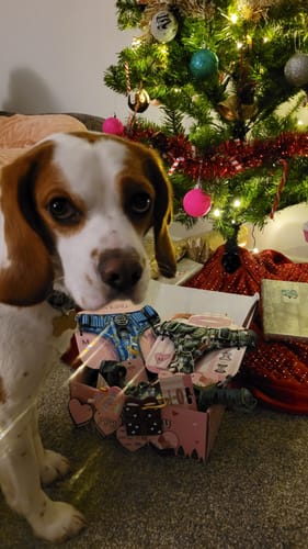 Customer photo review of Pawsome Poop Pocket - Pastel Swirl