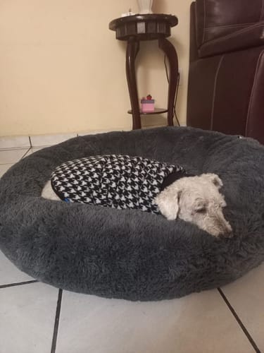 Reseña con foto de un cliente sobre Cama Antiestrés Para Perros