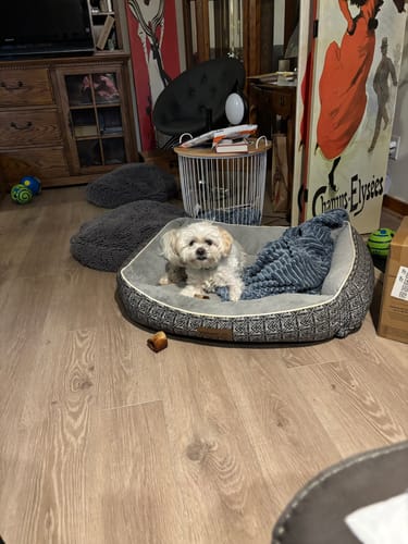 Customer photo review of Mika and Sammy's Gift Card