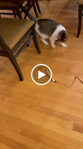 Customer video review of Magnetic Catch Wand