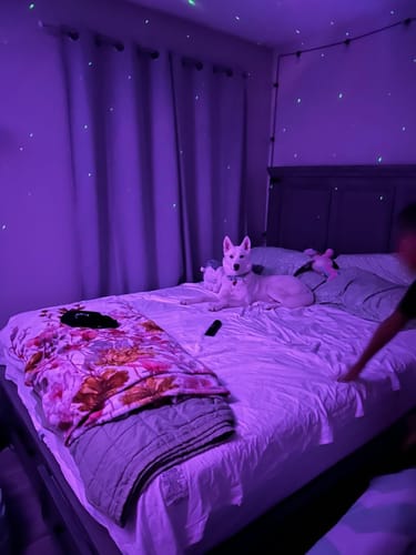 Customer photo review of UGLOW™ - Star Projector