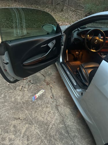 Customer photo review of BMW F SERIES DOOR LIGHTS