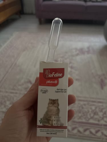 Customer photo review of Plus+b for Cats 50ml (Kediler İçin Tüy Dökülmesi Engelleyici Biotin Tüy Sağlığı Damlası)