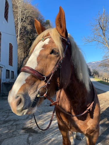 Customer photo review of Oliander MB SILVER Hardware