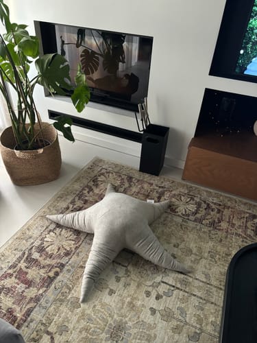 Customer photo review of The Starfish