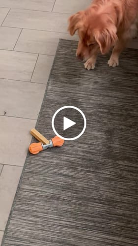 Customer video review of MIX FLAVORED (strawberry, banana, mint, & pumpkin): A PACK OF 4 STICKS