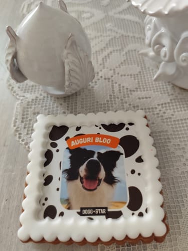 Customer photo review of Fotogenica 3 Tortina Per Cani CON FOTO e MESSAGGIO