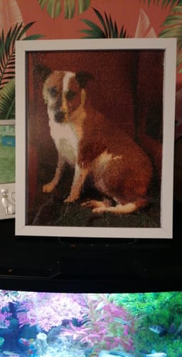 Customer photo review of Custom Cross Stitch Tapestry Kit | Just Upload Your Photo!