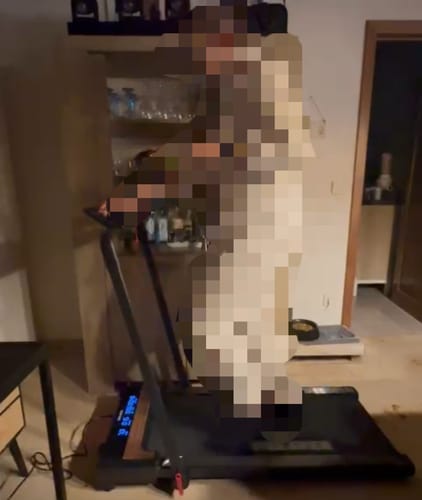 Customer photo review of Dreaver X250 Loopband - Hellingshoek - 1-12km/u