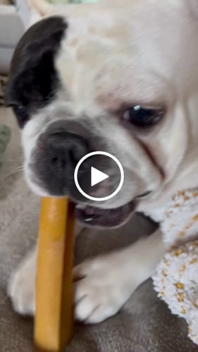 Customer video review of MIX FLAVORED (strawberry, banana, mint, & pumpkin): A PACK OF 4 STICKS
