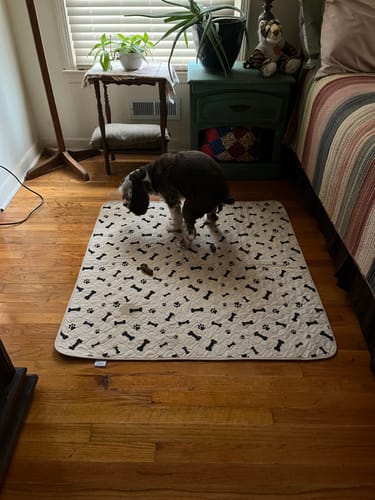 Customer photo review of Potty Buddy™ - The Durable Leak-Free Potty Pad