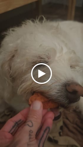 Customer video review of Biscotti Per Cani Natalini