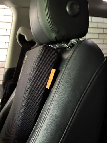 Customer photo review of Giraffe Cushion