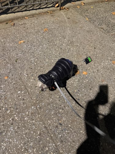 Customer photo review of Puffer Jacket