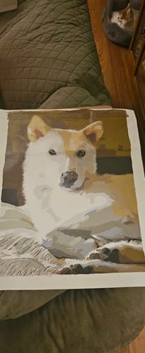 Customer photo review of Custom Paint By Numbers Kit