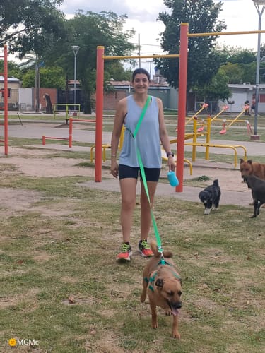 Customer photo review of City leash (Hands-free)
