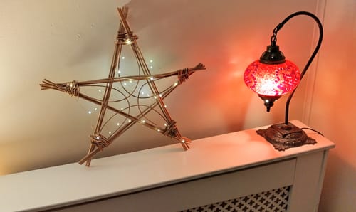 Customer photo review of Getting Started with Willow - Online Course and Kit