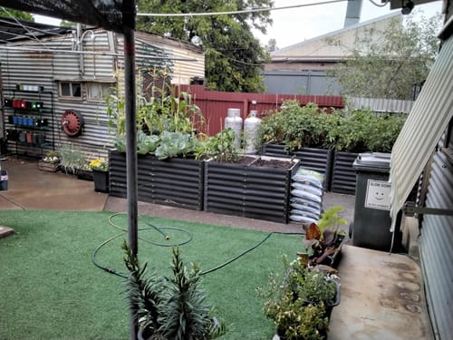Customer photo review of Easy Wetta Potting Mix, 25L