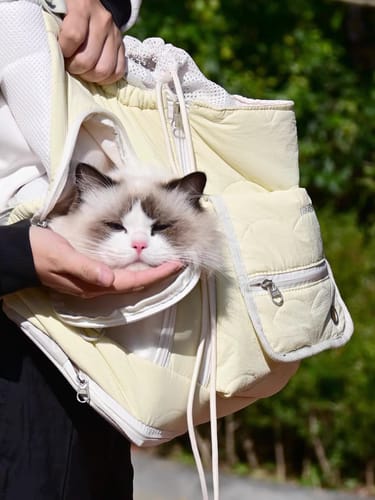 Customer photo review of SoftNest Lightweight Labor-Saving Front Pet Carrier