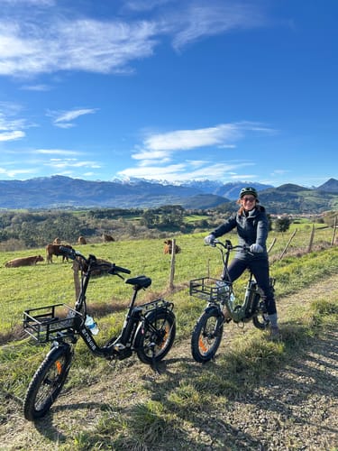 Customer photo review of Engwe L20 SE * 2 E-Bikes Bundle