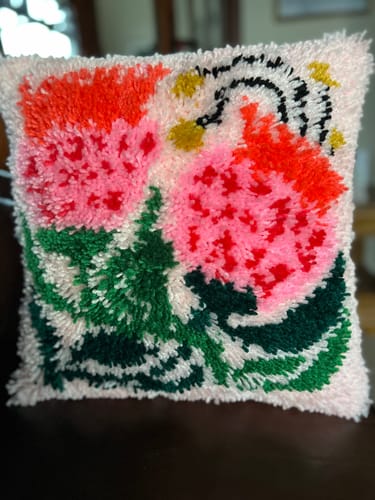Customer photo review of Sugarbush Latch Hook Cushion Kit