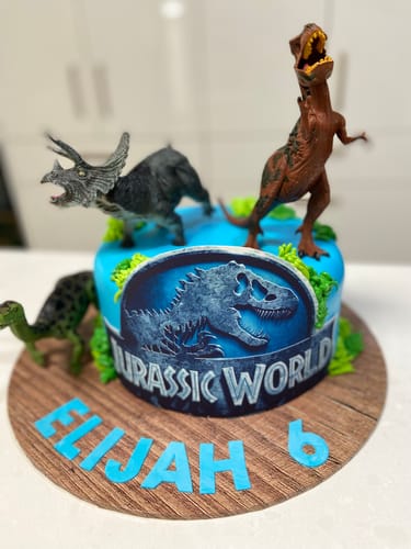 Customer photo review of A4 Rectangle Custom Edible Icing Image