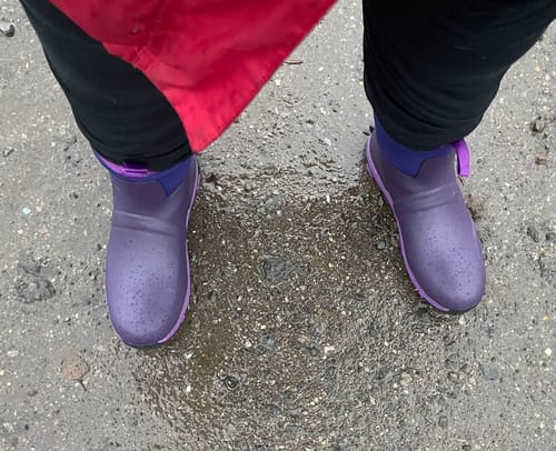 Customer photo review of Blaze Neoprene Wellingtons Purple
