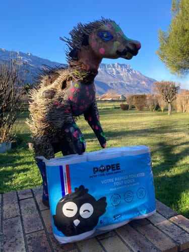 Customer photo review of PAPIER TOILETTE Confort - 24 ou 60 rouleaux