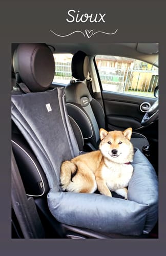 Customer photo review of Seggiolino Auto Velluto Grigio