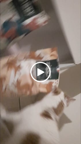 Avis vidéo d'un client sur Croquettes Chat Stérilisé Sans Céréales - Poulet