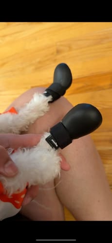 Customer photo review of WagWellies® by wagwear