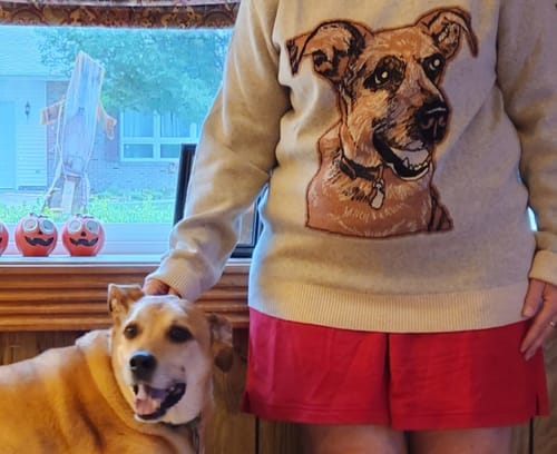Customer photo review of Plain Dog - Custom Knitted Sweater