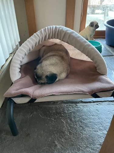 Customer photo review of Beige & Mushroom Snuggle Tunnel