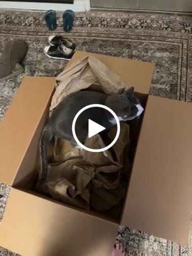 Elizabeth D. review of PRIORITY PROCESSING image 1 out of 1