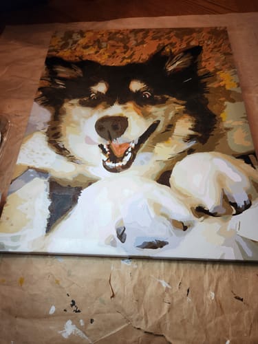 Customer photo review of YOUR PHOTO AS PAINT BY NUMBERS (FRAMED OR UNFRAMED OPTION)