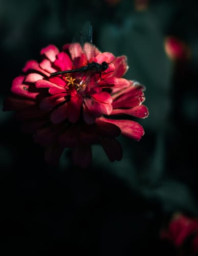 Customer photo review of Cold Tones LIMITED Lightroom Presets Pack