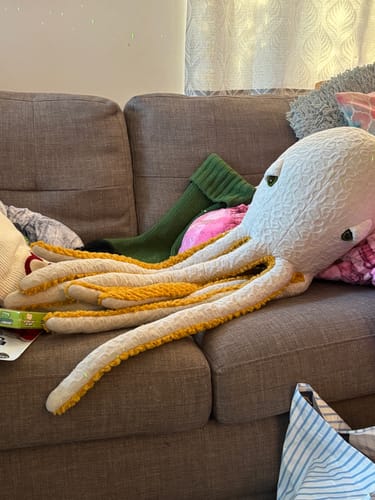 Customer photo review of The Octopus