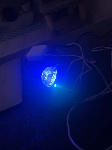 Customer photo review of Aurora Projector