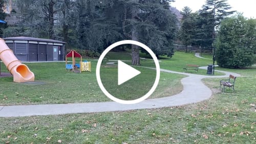 Customer video review of AVDL A01 250W Foldable Electric Bike 14" 230Wh E-bike