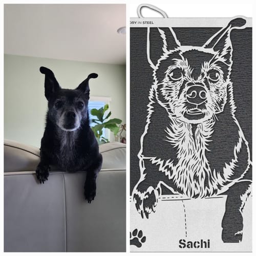 Customer photo review of Custom Pet Metal Portrait